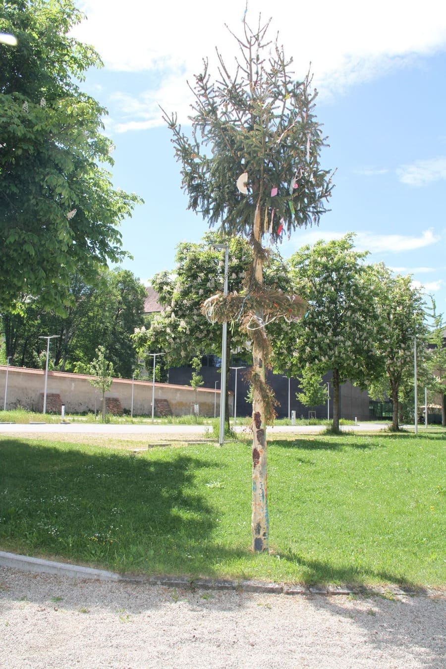 Der Kinder-Maibaum, wieder an seinem Platz