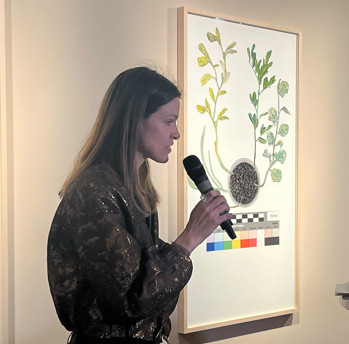 Kuratorin Sophie Haslinger führt durch die 