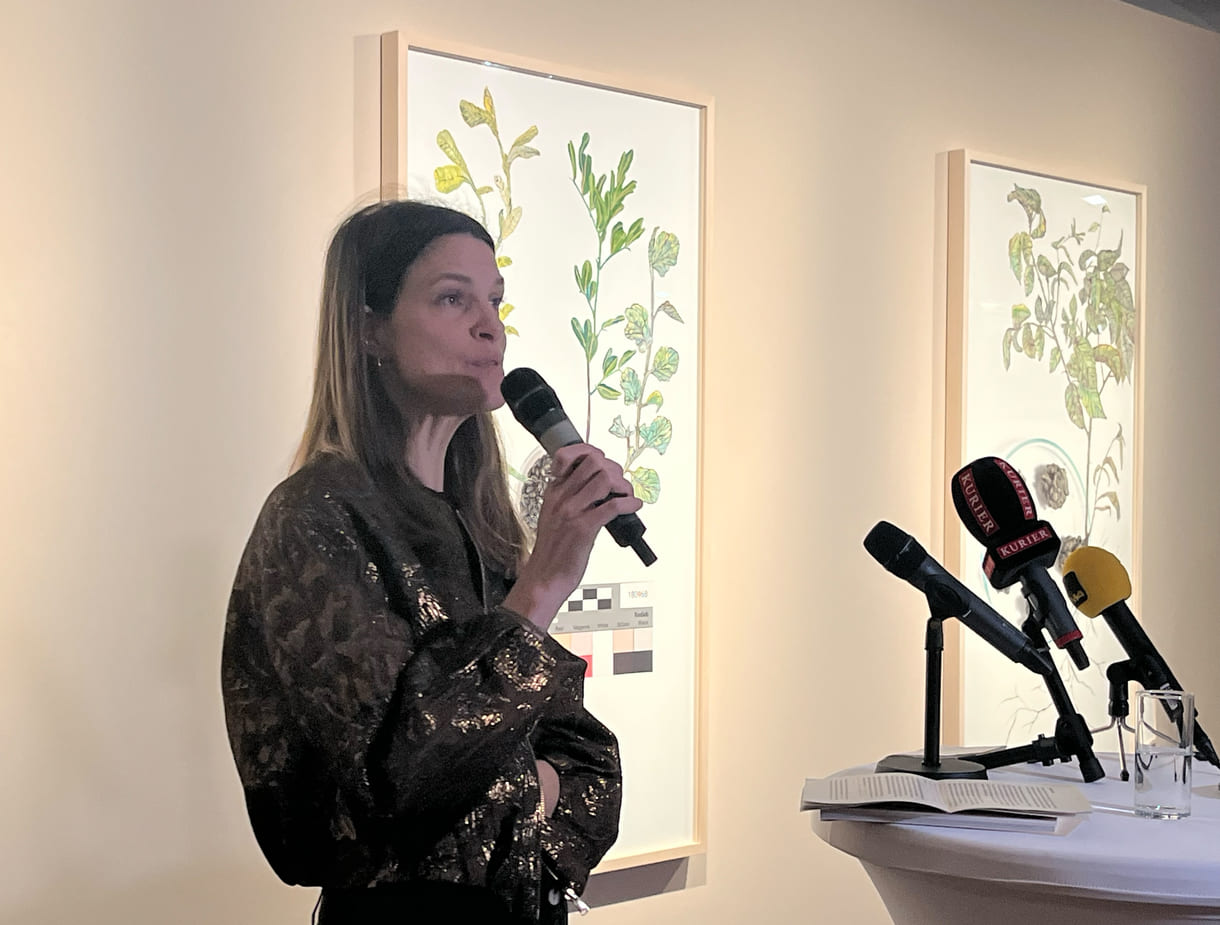 Kuratorin Sophie Haslinger führt durch die 