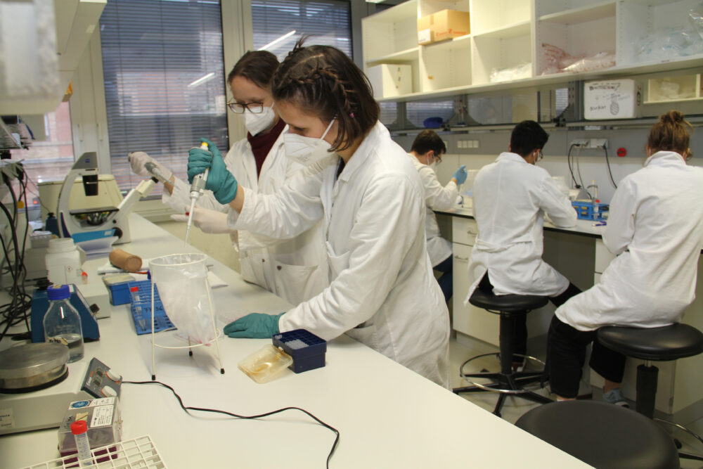 Im Labor am Institut für Molekulare Biotechnologie der Fachhochschule Campus Wien