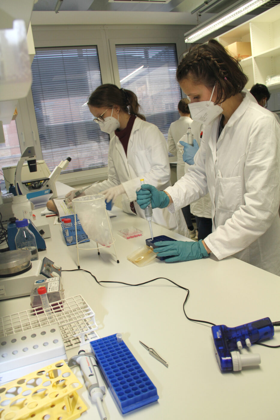 Im Labor am Institut für Molekulare Biotechnologie der Fachhochschule Campus Wien
