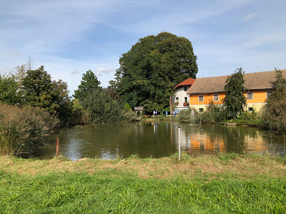 Das Gelände des Familien-Gasthauses Pommer in Handenberg (1300 Einwohner:innen), in dem die Lehrerin - vor allem in den Sommerferien - arbeitet