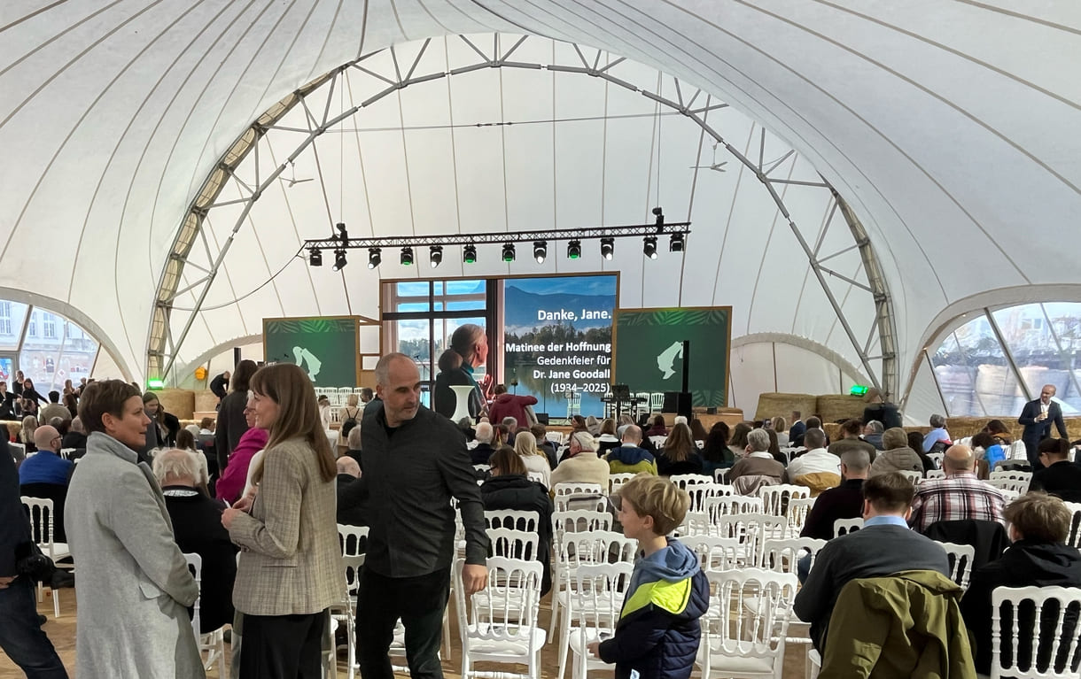 Teilnehmer:innen aller Altersgruppen