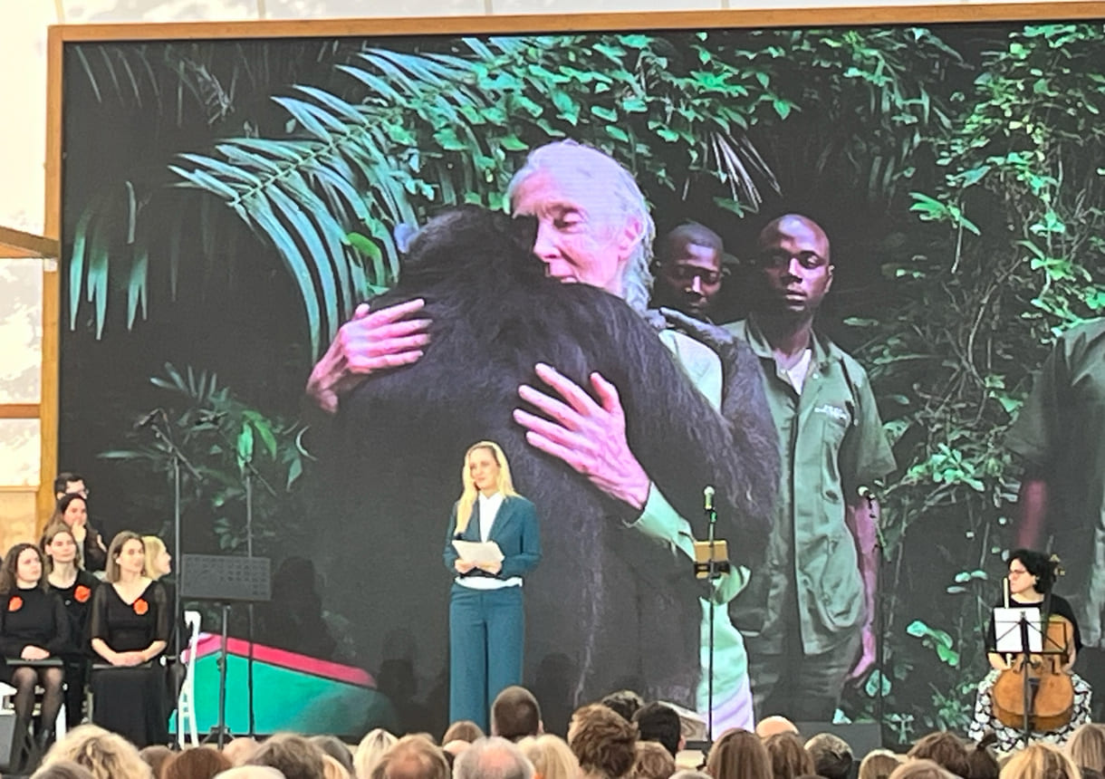 Die bekannte Schauspielerin Lillian Klebow ist seit fast eineinhalb Jahrzehnten Ehrenbotschafterin des Jane-Goodall-Institutes Austria