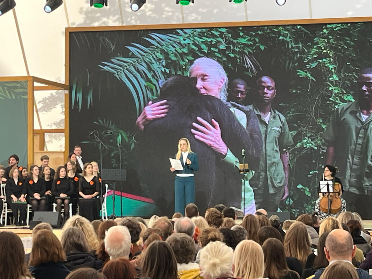 Die bekannte Schauspielerin Lillian Klebow ist seit fast eineinhalb Jahrzehnten Ehrenbotschafterin des Jane-Goodall-Institutes Austria