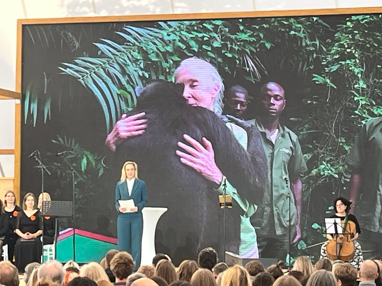 Die bekannte Schauspielerin Lillian Klebow ist seit fast eineinhalb Jahrzehnten Ehrenbotschafterin des Jane-Goodall-Institutes Austria