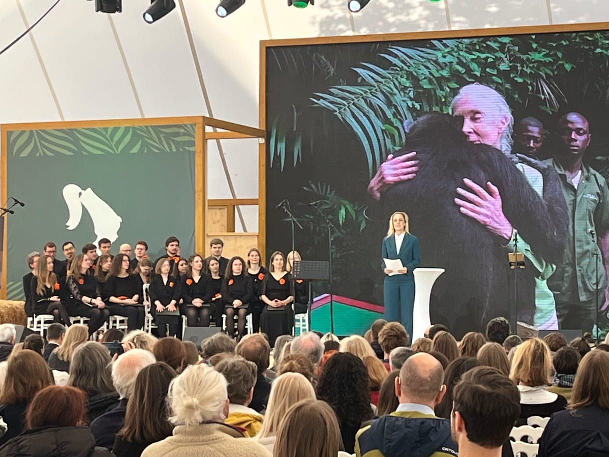 Die bekannte Schauspielerin Lillian Klebow ist seit fast eineinhalb Jahrzehnten Ehrenbotschafterin des Jane-Goodall-Institutes Austria