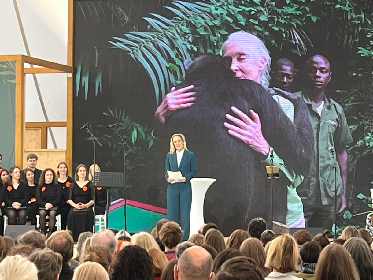 Die bekannte Schauspielerin Lillian Klebow ist seit fast eineinhalb Jahrzehnten Ehrenbotschafterin des Jane-Goodall-Institutes Austria