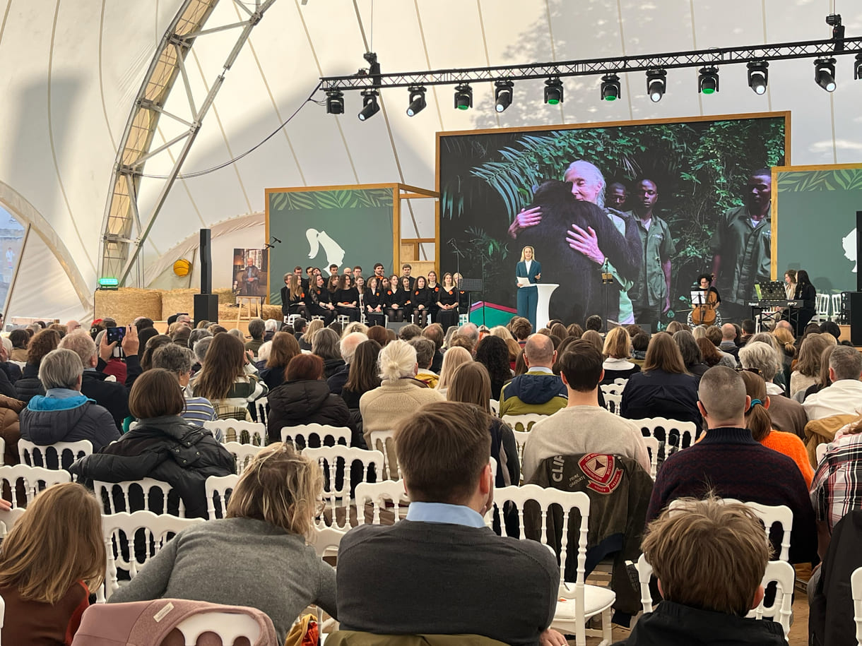 Die bekannte Schauspielerin Lillian Klebow ist seit fast eineinhalb Jahrzehnten Ehrenbotschafterin des Jane-Goodall-Institutes Austria