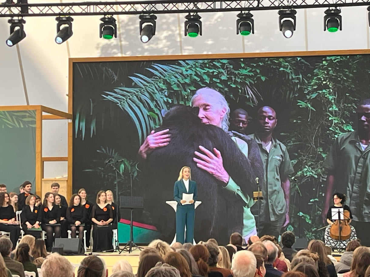 Die bekannte Schauspielerin Lillian Klebow ist seit fast eineinhalb Jahrzehnten Ehrenbotschafterin des Jane-Goodall-Institutes Austria