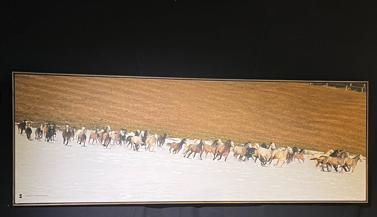 Bilder und Objekte der Ausstellung im 