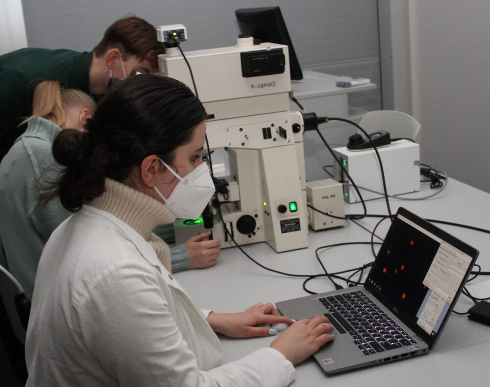 Studierendengruppe beim Betrachten der Zellteilungen via Mikroskop und Computer-Monitor