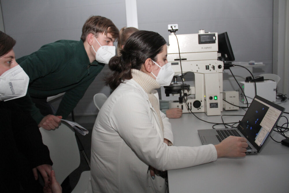 Studierendengruppe beim Betrachten der Zellteilungen via Mikroskop und Computer-Monitor