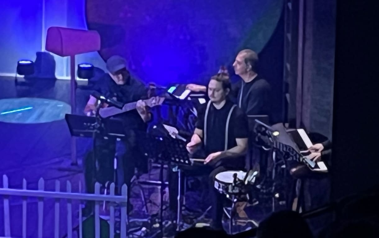 Blick auf die Musiker