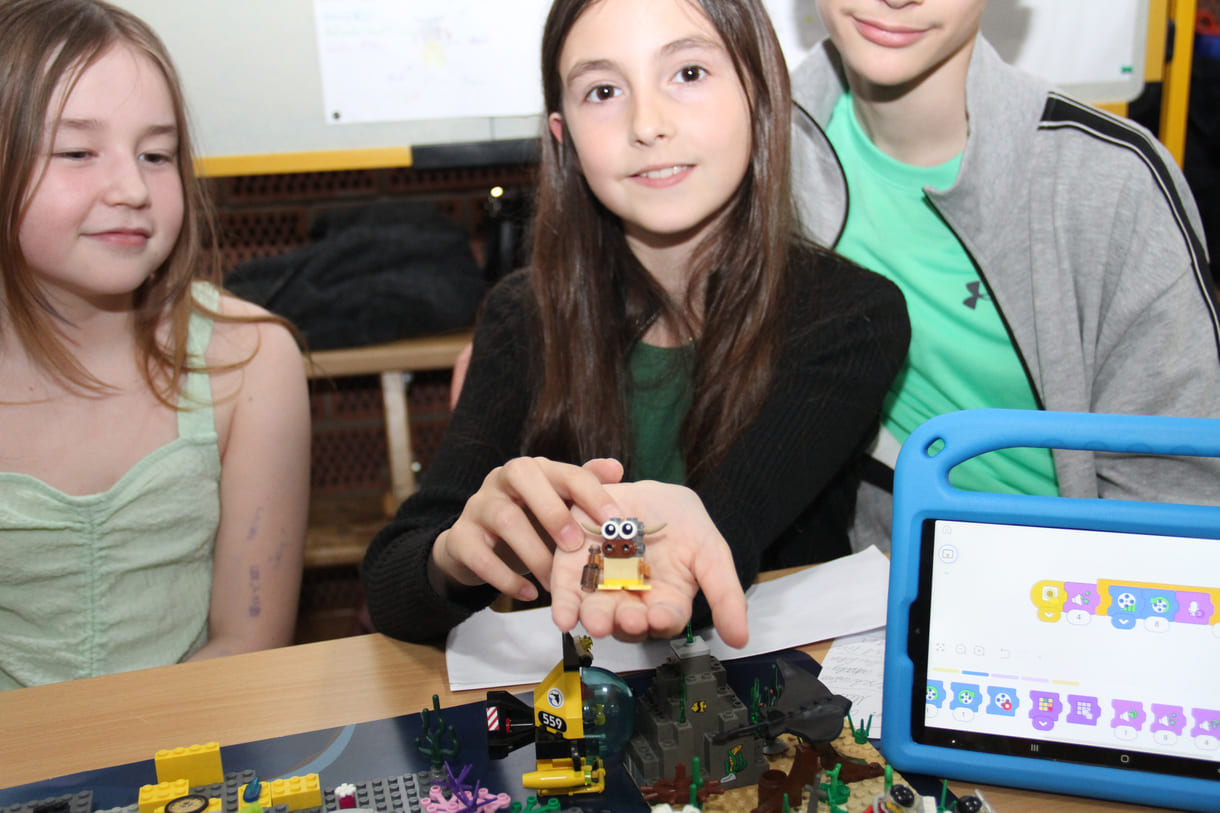LEGO Owls