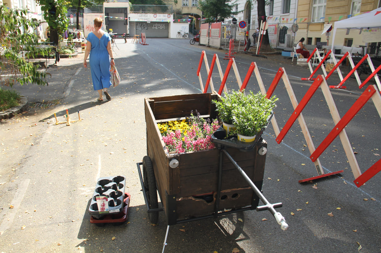 Pflanzen in kleinen Töpfen - per Handwagerl verteilt