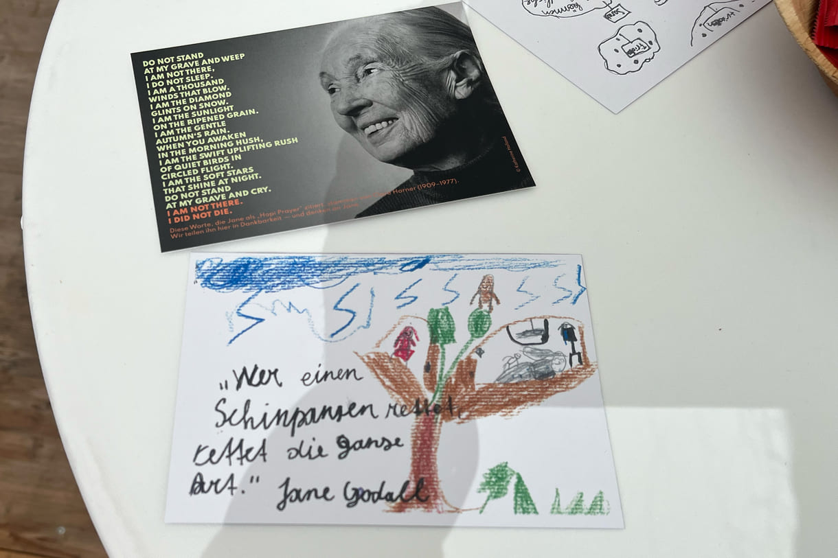 Postkarten mit Zeichnungen und Sprüchen