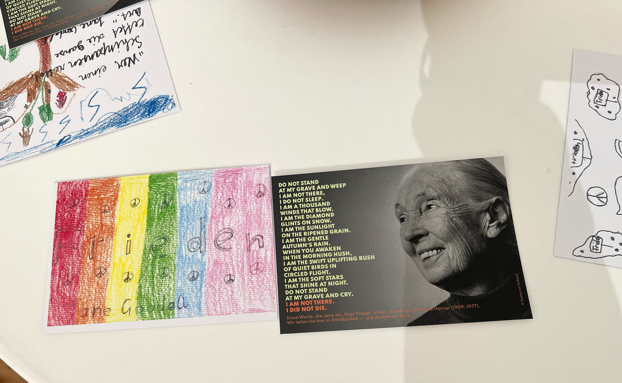 Postkarten mit Zeichnungen und Sprüchen