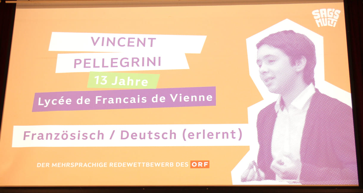 Insert zu Vincent Pellegrini, Französisch, Lycée Français de Vienne (Wien)