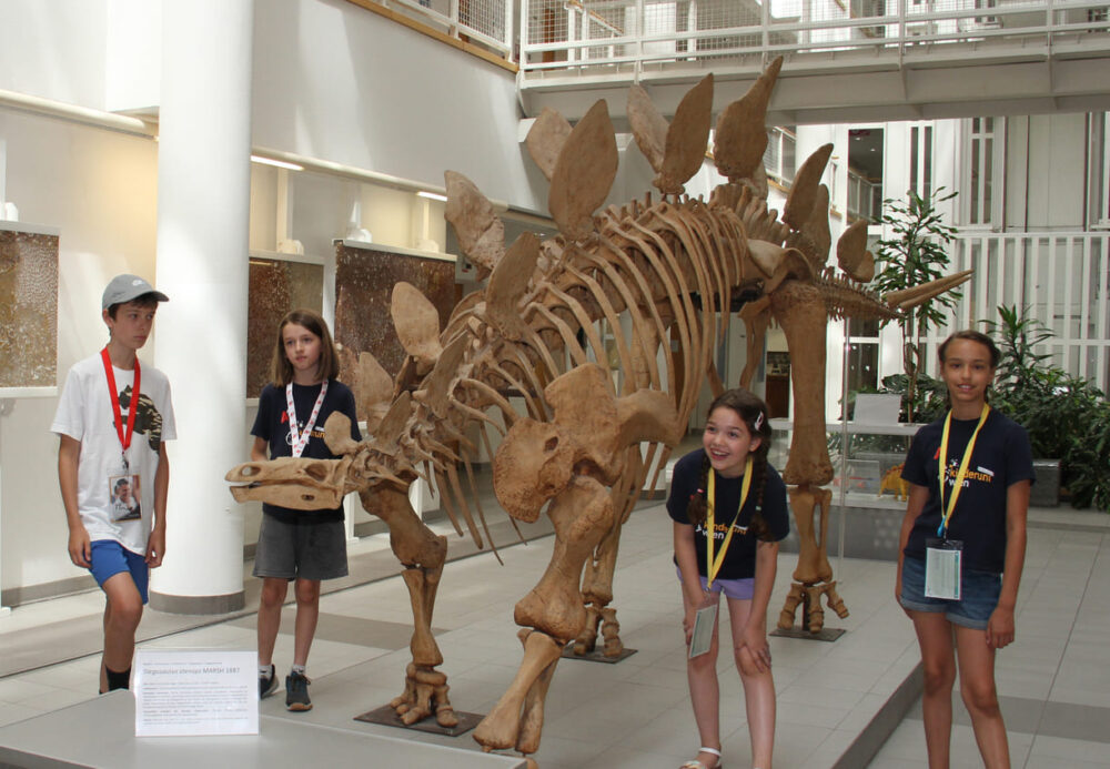 Antol, Tristan, Leyla und Nora haben ein spannendes Foto-Motiv gesucht und im Skelett eines Stegosauriers im Uni-Zentrum Althanstraße gefunden