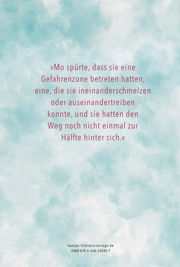 Rückseite des Romans 
