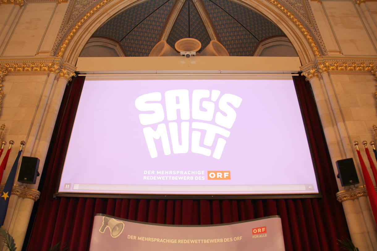 Das neue Sag's Multi-Logo riesig eingeblendet
