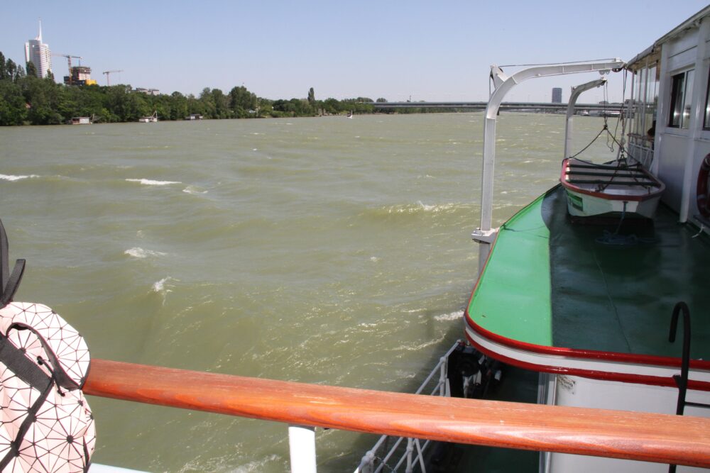 Blick aufs an diesem Tag doch stark bewegte Donauwasser