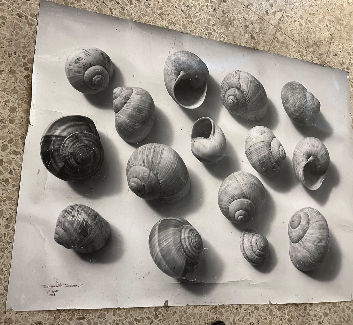 Bilder und Objekte der Ausstellung im 
