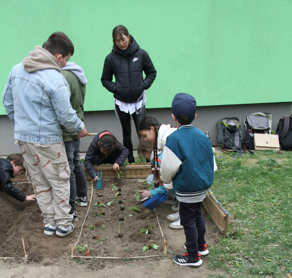 Kinder setzten Gemüsepflanzen in ihre Beete