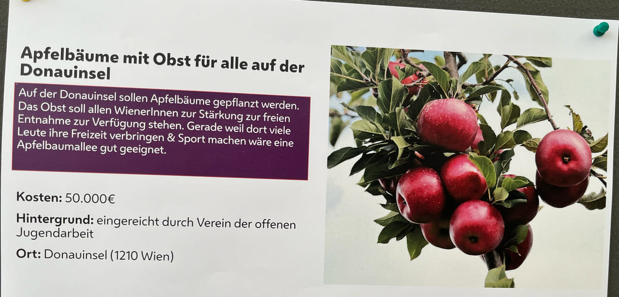 Auf der Donauinsel soll eine Apfelbaum-Allee entstehen - und die Früchte allen bleiben, die dort sporteln, chillen usw.