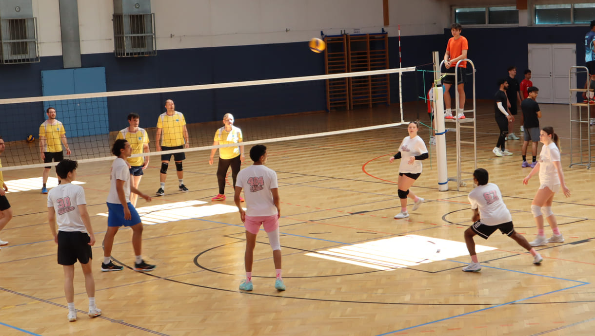 Gleichzeitig viele Volleyball-Spiele in der Halle