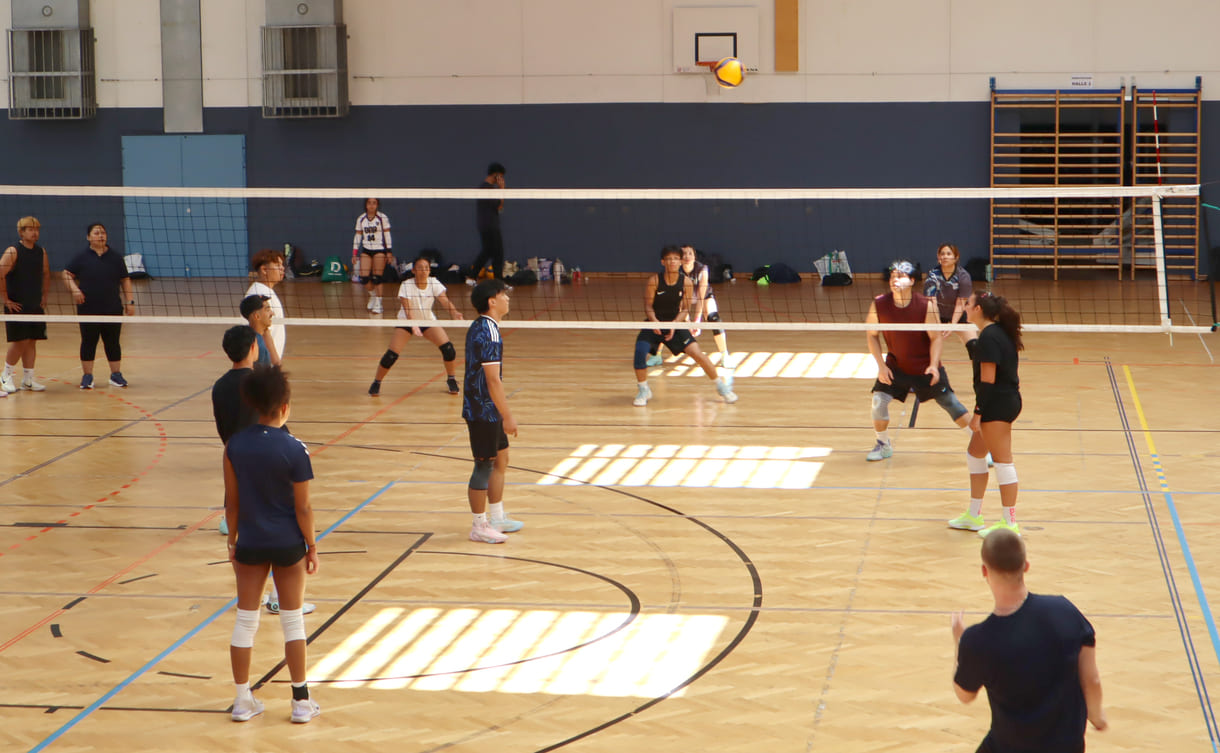Gleichzeitig viele Volleyball-Spiele in der Halle