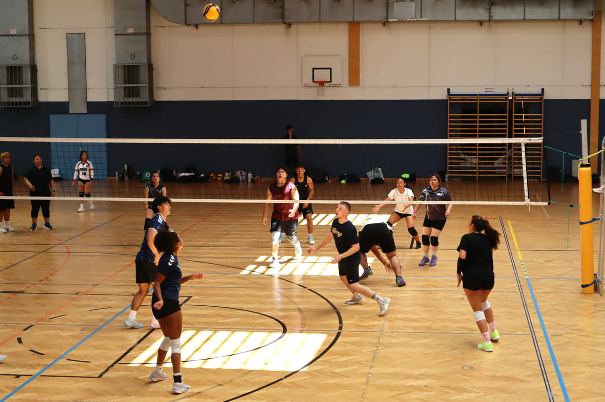 Gleichzeitig viele Volleyball-Spiele in der Halle