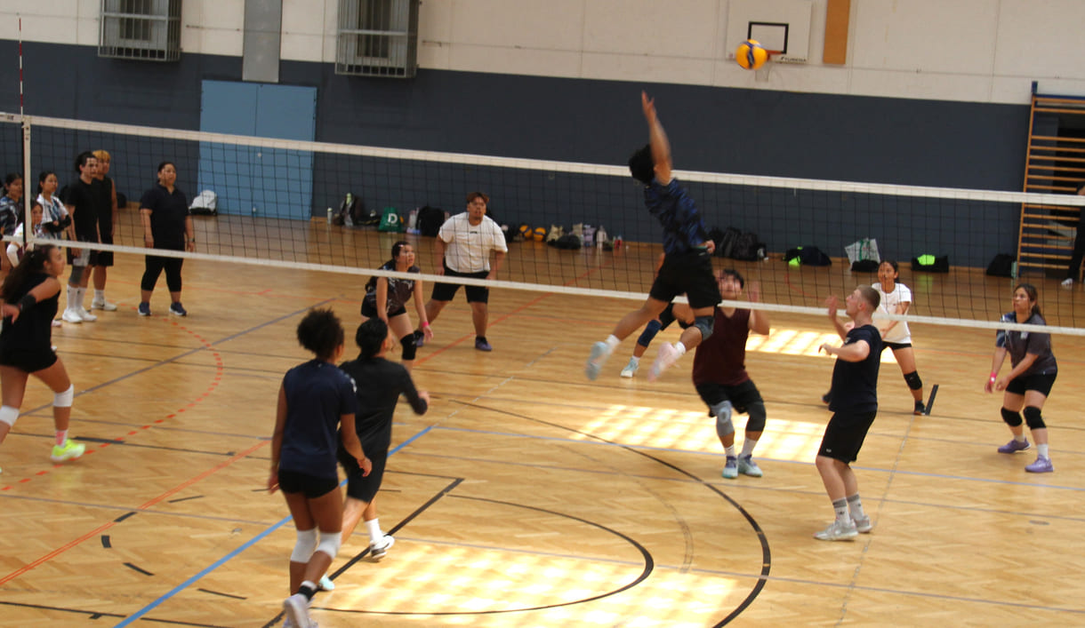 Gleichzeitig viele Volleyball-Spiele in der Halle