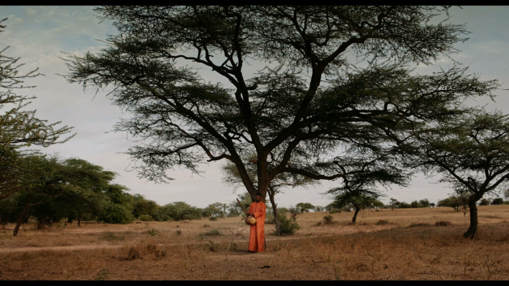 Bild aus dem Film "Der Waldmacher"