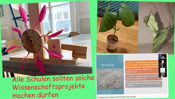 Bildmontage aus drei Fotos aus Pflanzen, Wasserkraftmodell